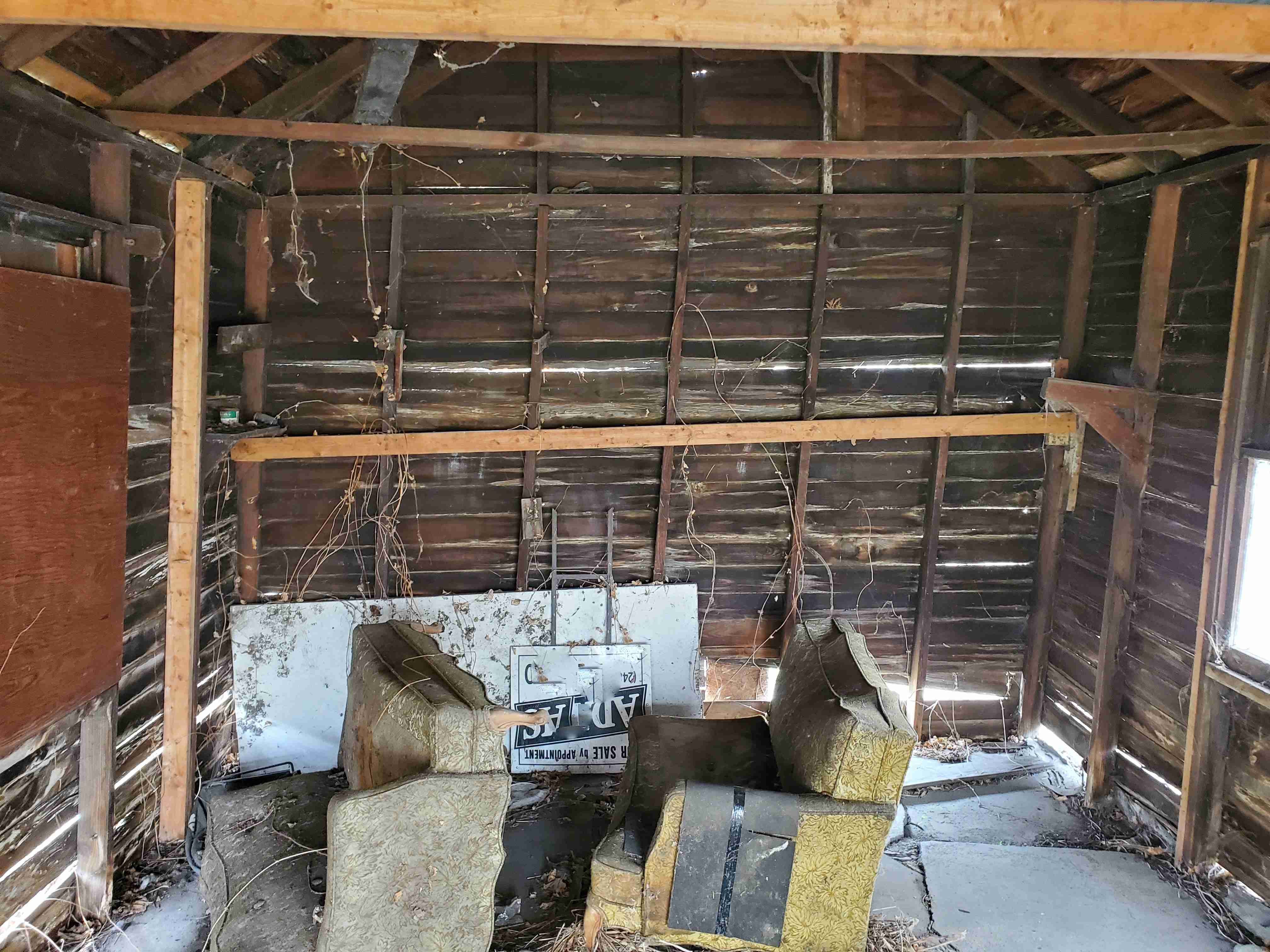 20210419_132206 (2).jpg